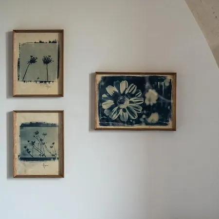 Casa Di Melo - Organic Country Séjour à la ferme Cassibile